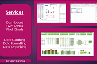 do data cleaning, data formatting, pivots, visuals power bi
