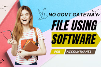 file your uk ltd tax return through software