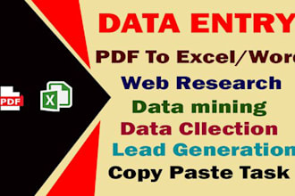do fast any data entry accurately for you