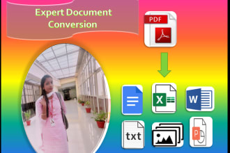 provide data entry services and convert PDF to word excel format