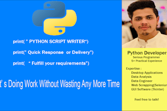 do python simple or gui projects,scripts and scrapping
