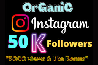buy 10,000 instagram followers fast