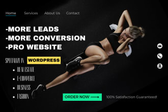 do wordpress website design, development blog portfolio