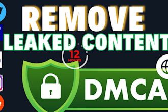 send dmca notice on facebook, google, twitter, instagram, shopify