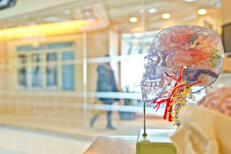 be your online tutor for anatomy, physiology, pharmacology, medicine and surgery