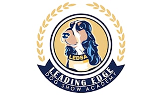 make beautiful animal and pet logo design