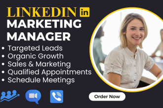 be your b2b marketing manager and appointment setter