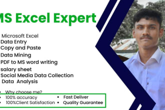 do ms excel data entry, convert pdf to ms word copy paste