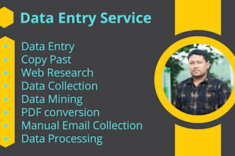 do data entry, data processing, excel, web search expert
