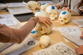 do urgent essays on anthropology, sociology, history, art and philosophy essays