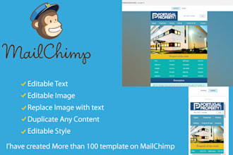 email template in mailchimp and hubspot and with custom code