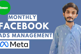 be your facebook ads campaign manager