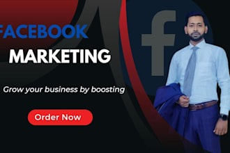 set up facebook business page and ads campaign