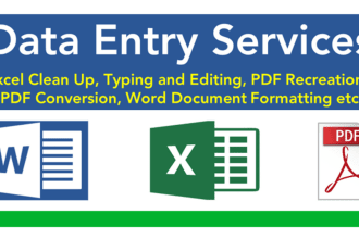 do excel data entry, data entry, PDF to excel data entry