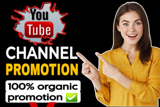 do youtube channel promotion to targeted audience