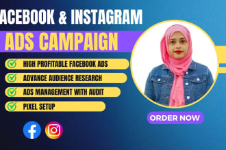 be your fb ads campaign manager, run facebook advertising, instagram ads