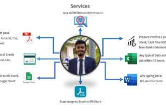 convert PDF bank statement to excel, word to excel typing and any data entry job