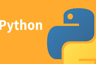 do python and ml projects and fix bugs