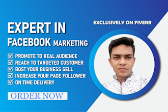 do facebook marketing and page promotion in USA