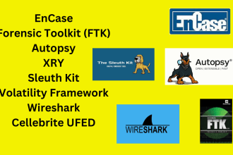 forensic analysis kali linux cybersecurity