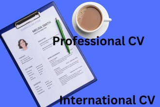 deliver 12 hours create CV tech writing service sales resume upgrade german cv