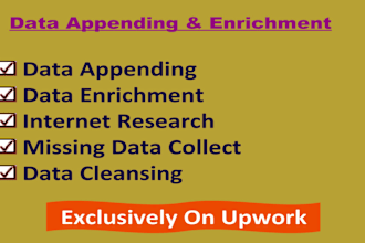 do data appending enrichment and data entry