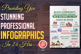 create infographics within 24 hrs