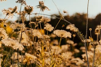 do professional research on plants and plants based products