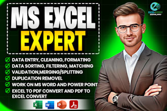 do excel data entry,cleaning,formatting,formula,pivot table,excel to pdf convert