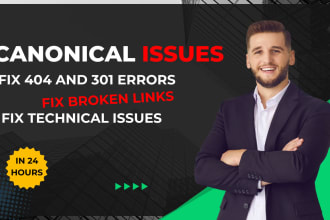 fix 404 error, 301 redirect, broken links, and canonical issues