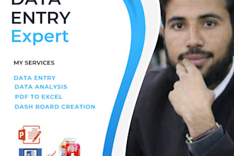do excel data cleaning,data entry and data analytics