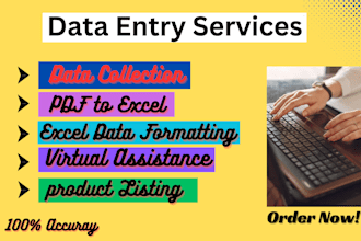 do contact finding, owner data collection, lead generation all data entry work
