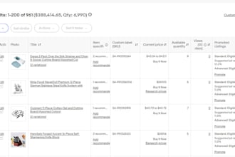 do amazon to ebay dropshipping top listings