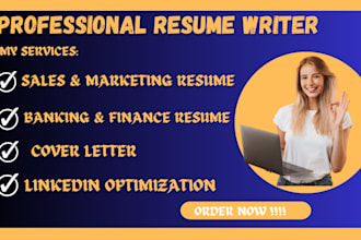 write a professional sales and marketing resume, banking and finance resume, cv
