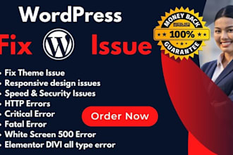 fix wordpress error, issues, bugs, css, redesign, revamp