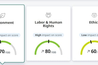 help you improve and achieve silver in ecovadis assessment