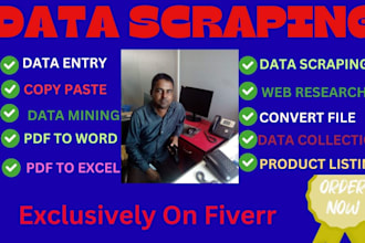 do data entry, data scraping, copy paste, and data extraction from any website