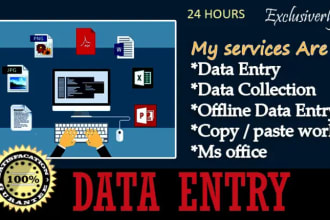 do data entry, copy paste, excel data entry, convert PDF, web research