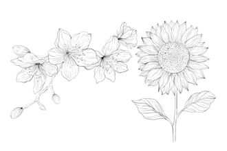 do floral line drawing illustration