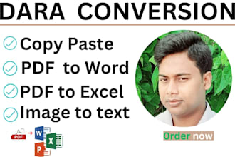 do  convert PDF to word, PDF to excel, or data entry