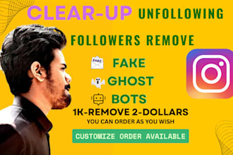 do your instagram ghost, bots and fake followers remove