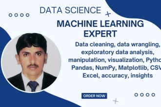 do data cleaning, wrangling, preprocessing and visualization by python script