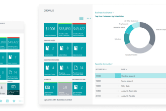 business central consultant seamless setup, training, go live support