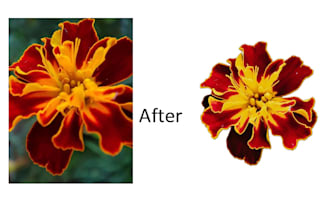 remove background in images and blur adding