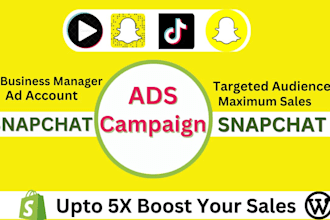 manage snapchat ads account for business sales promotion