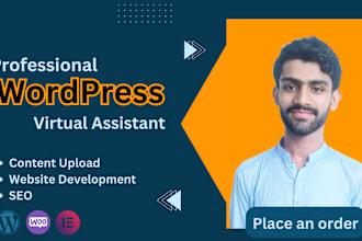 be your wordpress virtual assistant for content upload