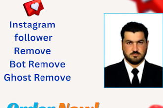do ultimate instagram cleaning solution for business service