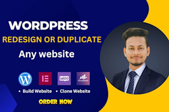 duplicate website, design, redesign, elementor clone, copy or revamp wordpress