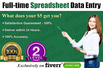 do fulltime spreadsheet data entry