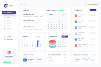 odoo software development, python program, crm, ai software, ai web application